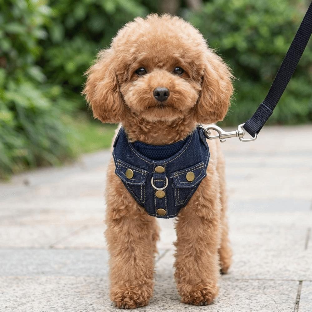 Oxford Cloth Dog Cat Leash Anti-knot Escape Proof Harness Durable Pet Harness Outdoor Walking