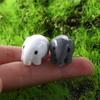 Room Animal Model Small Statue Elephant Figurine Fairy Garden Decoration Miniature Micro Landscape
