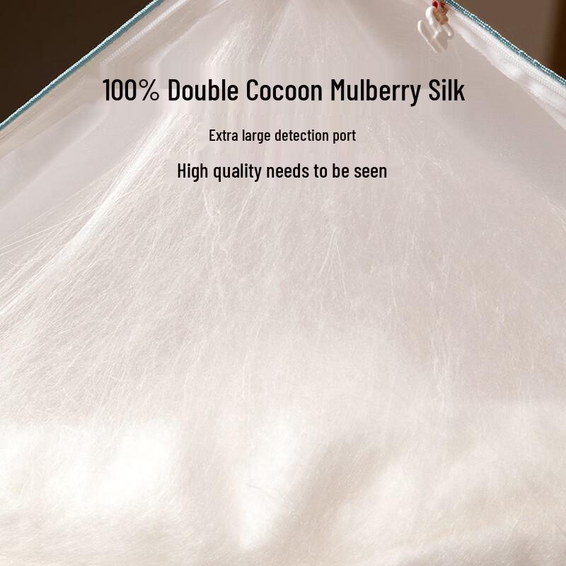 SILKUEEN Lanyu 100% Mulberry Silk Duvet