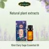 Princess Jieyou Clary Sage Essential Oil