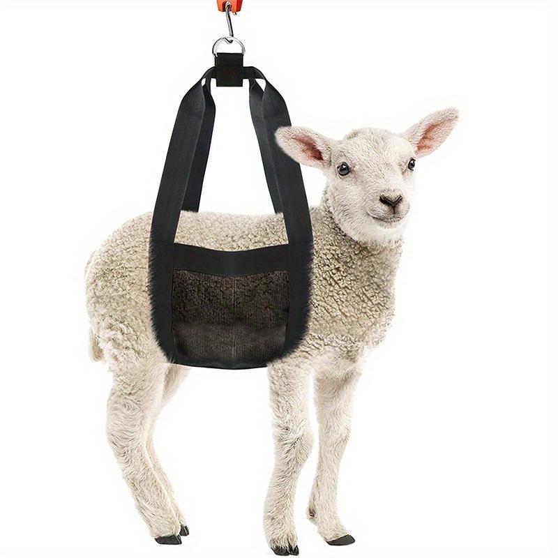 Small Animal Hanging Scales for Weighing Livestock and Animals Calf Scales with Calf Straps. Livestock Straps