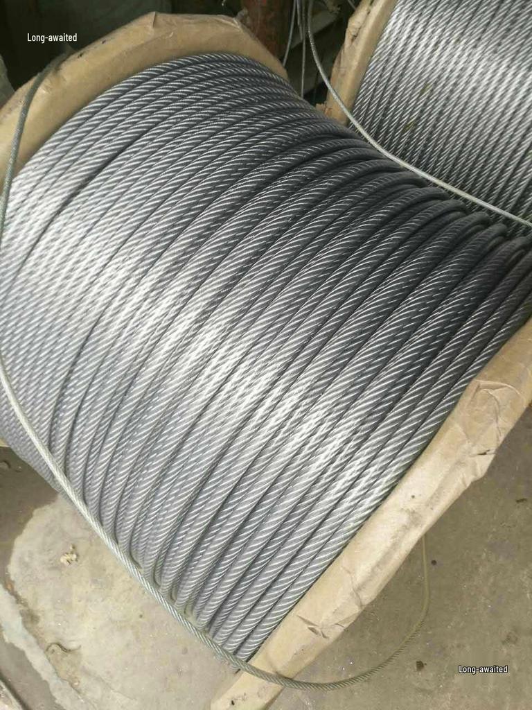 6mm Plastic-Coated Steel Wire for Trellis, Clothesline, and Greenhouse Building