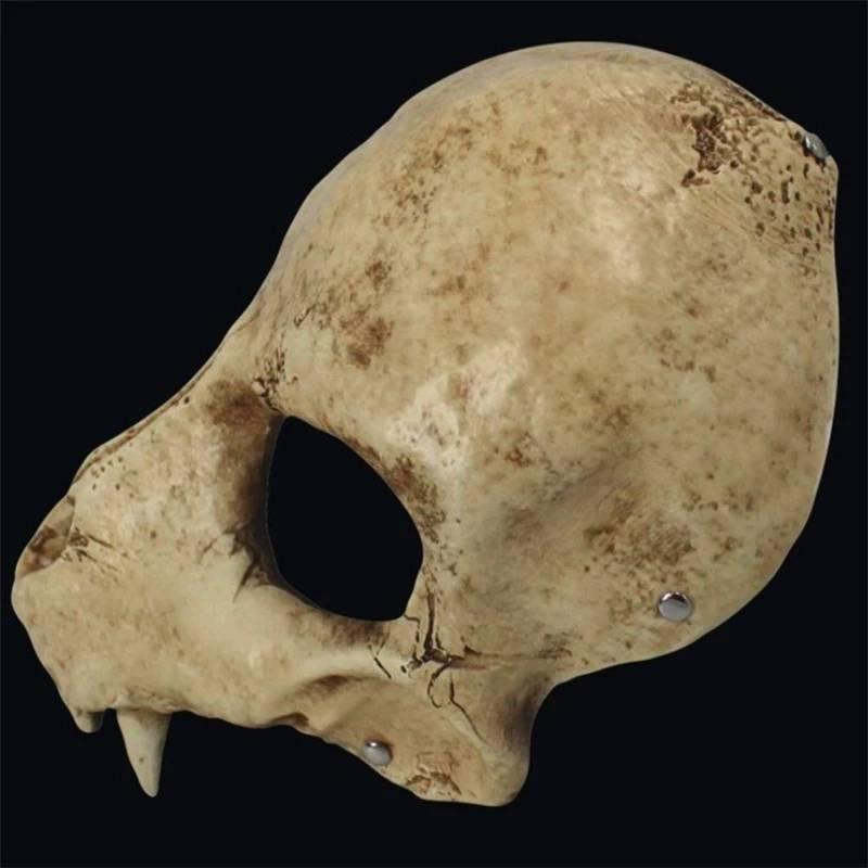 Skull Wolf Mask Horror Prop With Resin Construction For Cosplay And Themed Celebrations