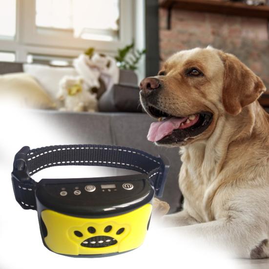 puppy training devices