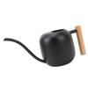 Indoor Watering Can Stainless Steel Wooden Handle Watering Pot with Long Spout for House Plants
