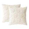 2 Pack Fall Pumpkin Pillow Covers, Hotel Cushion Cover