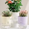 Self Watering Plant Pot Orchid Planter with Wick Ropes Flower Pot with Drainage Holes Transparent Water Reservoir for Indoor Plants Home Office Decor