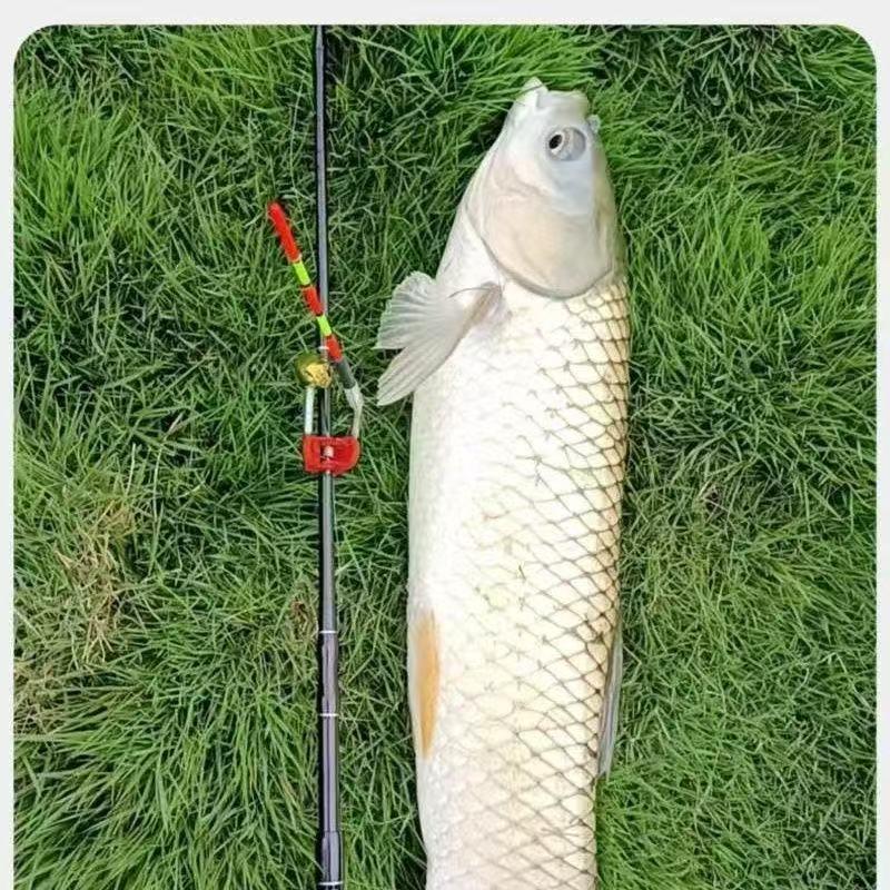 1pc Pêche de Nuit Bâton Lumineux pour Canne à Pêche Amovible Alarme de Touche Pêche Bâton Lumineux Flotteur Matériel Lampe Électronique pour Canne