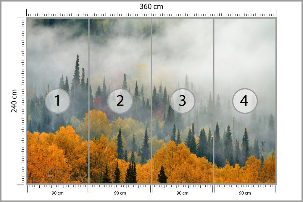 Photomural Fog Over Autumn Forest Non-Woven 360x240