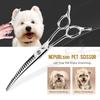 7.0-Inch Curved Teeth Pet Grooming Scissors - Professional Thinning Scissors for Pets