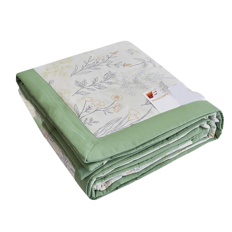 FengjinZhu Printed Summer Cooling Quilt