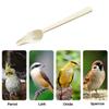 Long Handle Bird Feeding Spoon Heat-resisting Bird Food Water Spoon Chicks Spoon  for Feeding