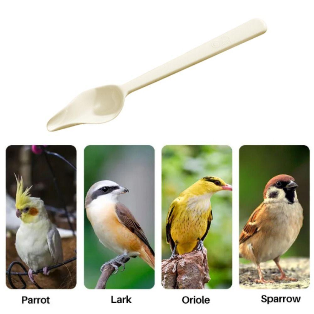 Long Handle Bird Feeding Spoon Heat-resisting Bird Food Water Spoon Chicks Spoon  for Feeding