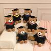 Dr. Bear Graduation Plush Toy - Teddy Bear Gift for Students from Primary To High School