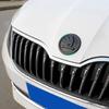 2026 Hot For SKODA 8CM 9CM Car Front Emblem Sticker Rear Trunk Badge for Skoda Octavia Fabia 1 2 Rapid Superb A5 A7 Karoq Yeti V