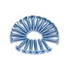Carbon Steel Blue-White Zinc Self-Tapping Screws