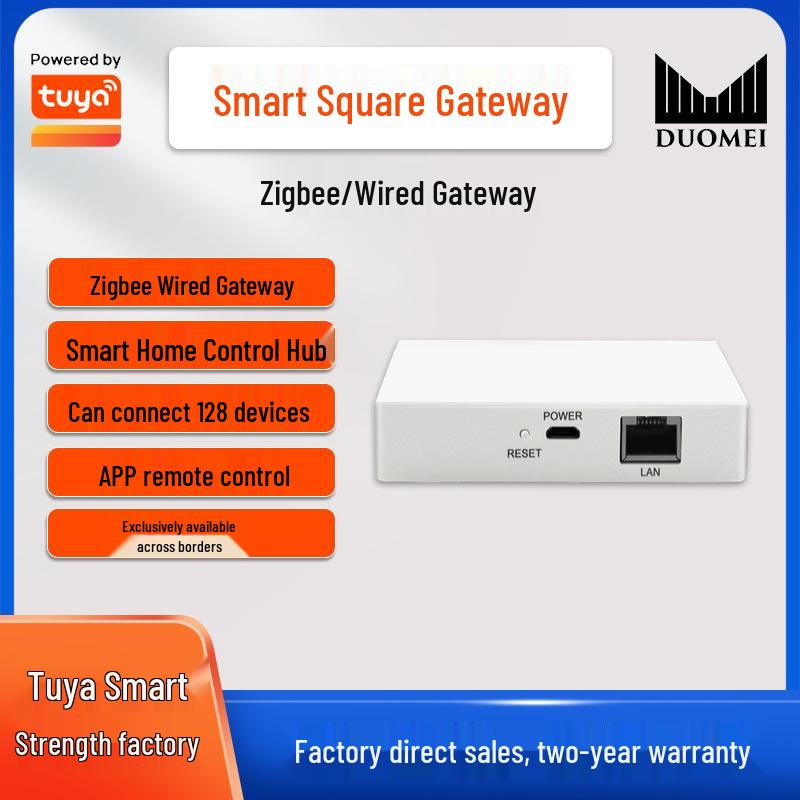 Graffiti Zigbee Smart Home Voice Control Hub with Alexa & Google Integration No