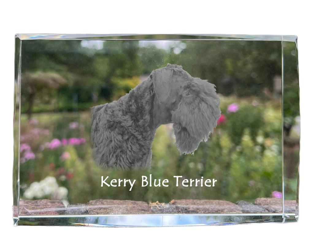 Kerry Blue Terrier, Irish Blue Terrier – Crystal with a picture of a dog, photo in glass | Art-Dog