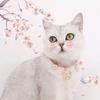 Velvet Bronzing Adjustable Cat Necklace Pet Fishbone/Snowflake /Starry Sky Collar for Puppy Exquisite Decoration Pet Accessories