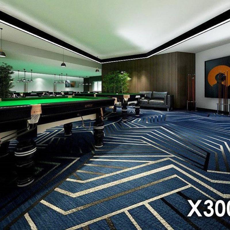 Luxury Printed Carpet for Hotel Billiard, Game, and Recreation Rooms – Wall-to-Wall Hallway and Private Room Flooring