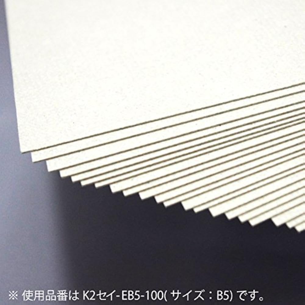Kokuyo File Paperboard Cover K2 A3 100 Sheets K2 Sei-EA3-100