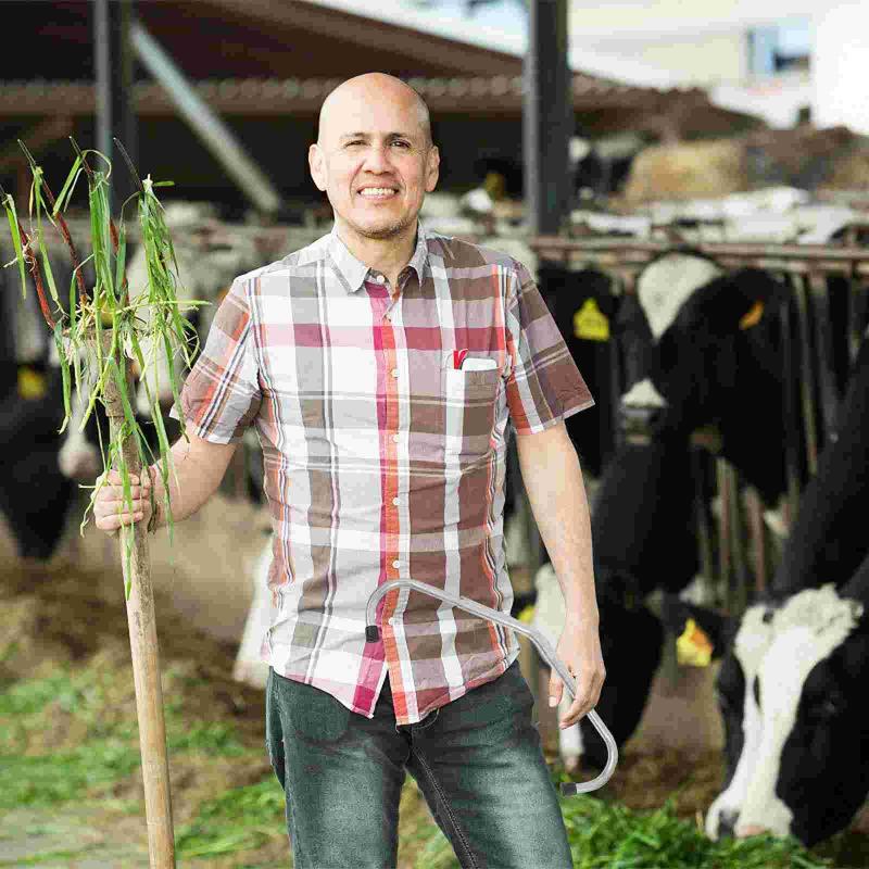 Anti-Tritt für Kühe, verzinkt, für Rinder