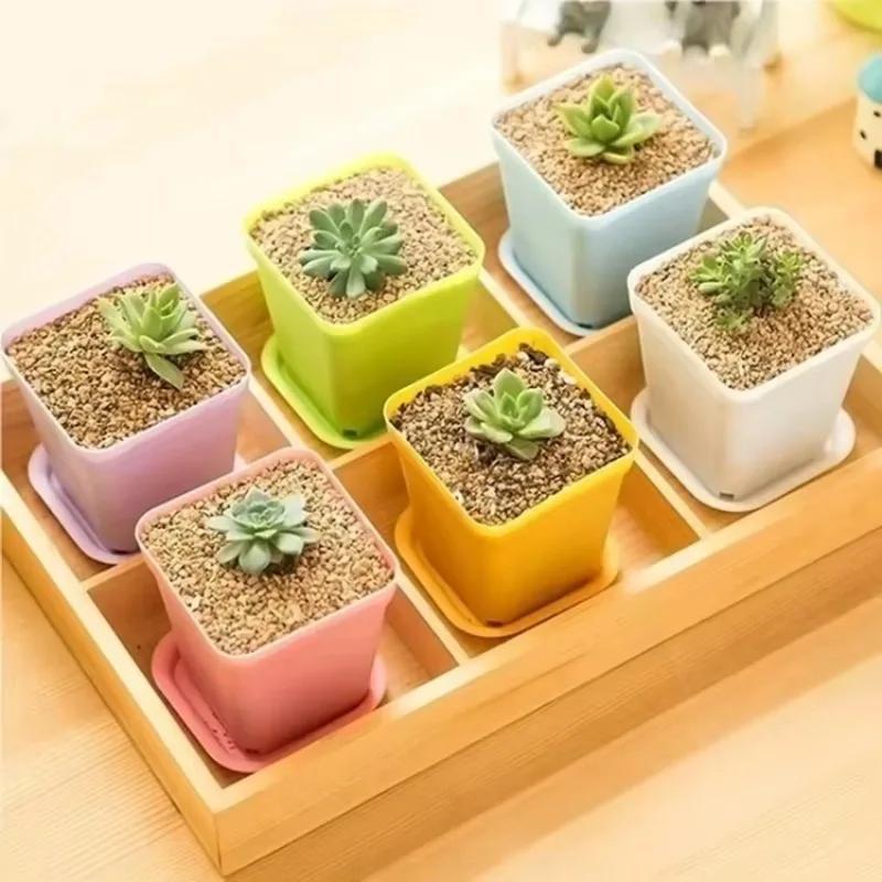 New 7 Pcs Colorful Plastic Pot Household Garden Tools Suitable Flower Planter Pot Tray Office Garden Decorative Pot