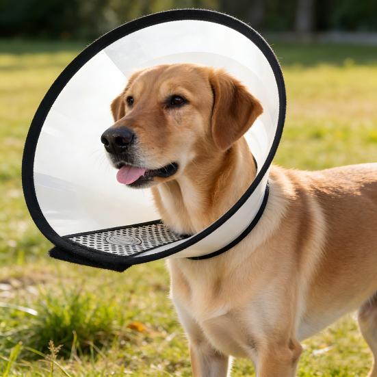 Pet Cone Collar Adjustable Cat Recovery Collar Dog E-Collar Prevents Licking Biting Wound for Postoperative Recovery Bathing And Nail Trimming