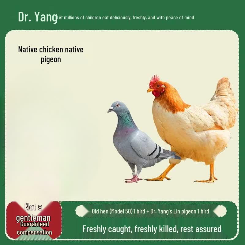 Dr. Yang s Premium Chicken & Pigeon Gift Set