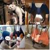 Dog and Cat Grooming Hammock Helper with Magic for Puppies and Nail Trimming with Nail Nail Restraint Soft for Pet Care [Senteria] Seal, Cats, Aid,