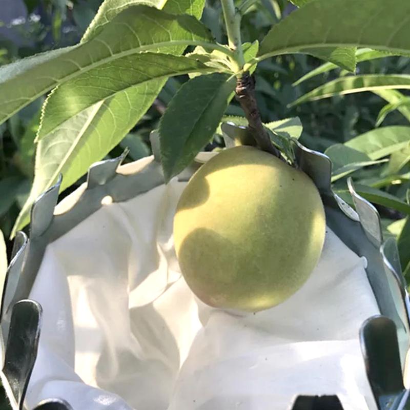 Metall-Obstpflücker, Gartenarbeit, Apfelpflücker, hoher Baumpflücker, Obstfänger, Gartenbedarf