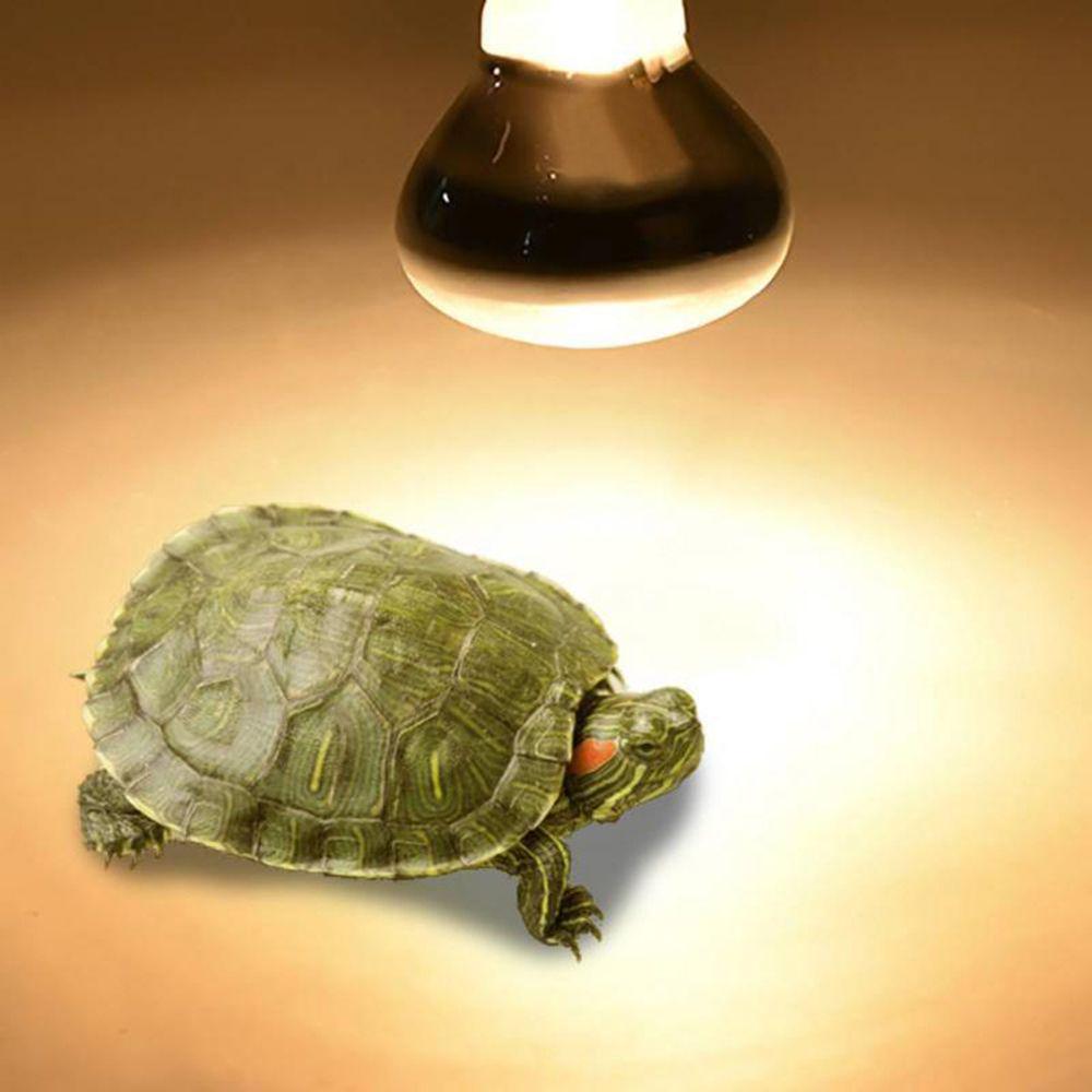 turtle heat lamp bulb