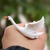 Artistic White Bird Model Decorative Miniature Figurine For Home Office Desktop Decors Or Garden Landscape Ornaments