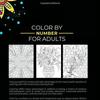 Libro da Colorare Adulti Resistente Colora per Numero per 75 Bellissimi Disegni Terapia dell'Ansia Rilassamento Sollievo dallo Stress Dimensioni Piccole