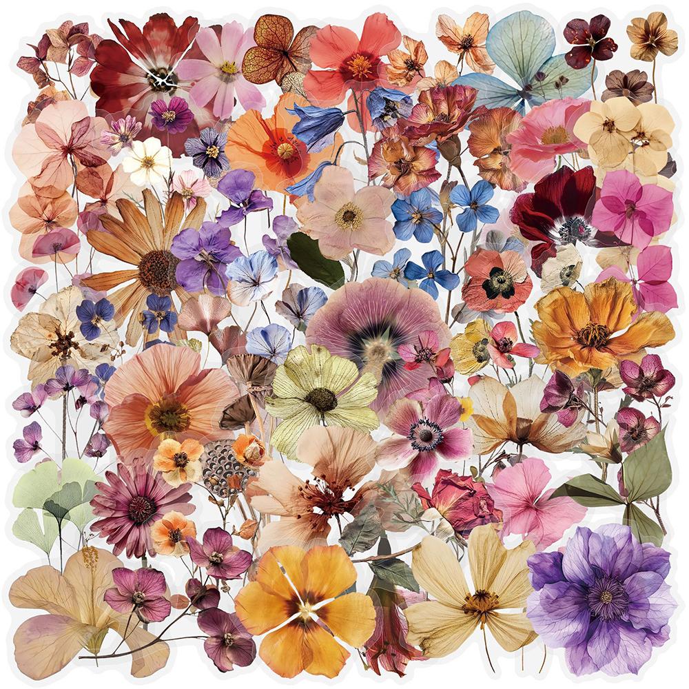 10/30/50pcs Vintage Dry Flower Stickers Watercolor Aesthetic Graffiti Decals DIY Laptop Journal Notebook Transparent Sticker Toy