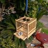 Exquisite Large Bamboo Grasshopper Cage with Free Accessories and Shipping, Damage Included