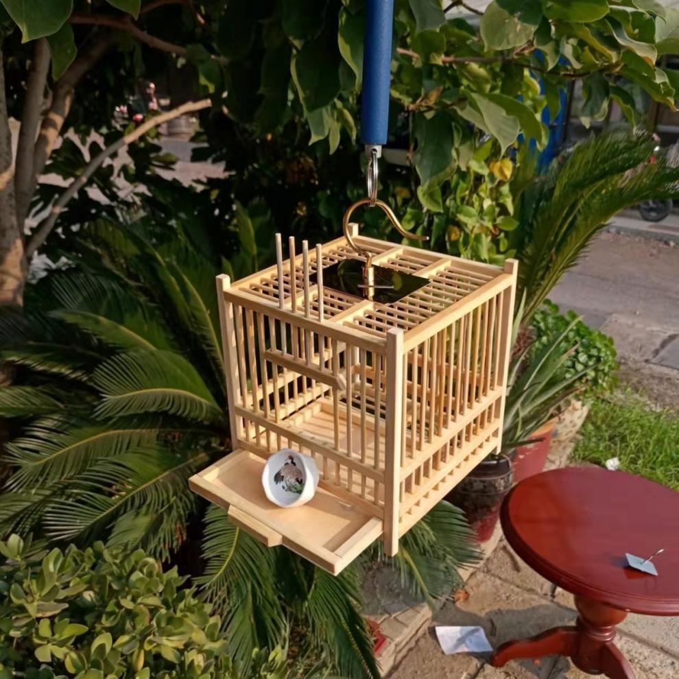 Exquisite Large Bamboo Grasshopper Cage with Free Accessories and Shipping, Damage Included