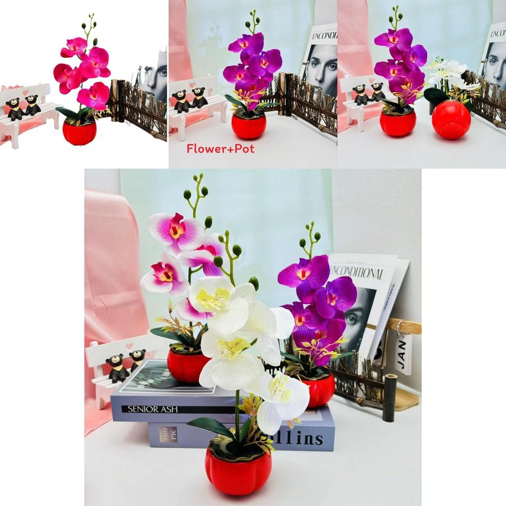 Phalaenopsis Decorative Faux Plant With Durable Silk And Plastic For Home Decor