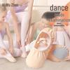 Chaussures de Danse Classique en Toile Sans Lacets Aiwuge