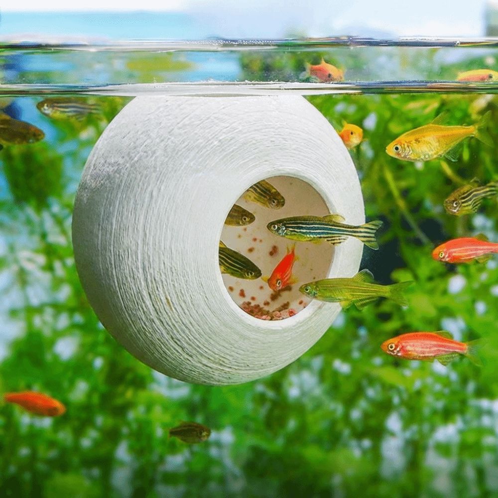 Suction Cup Fixed Fish Shrimp Hiding Cave Spherical Fish Tunnel Toy  Fish Shrimp Reptiles