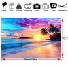 2D Sunset Ocean Background for Vacation Photoshoot and Video