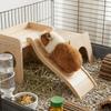 Colorful Hamster Climbing Ladder Interactive Decorative Guinea Pigs Bridge Wave Shape Guinea Puzzle Small Animals