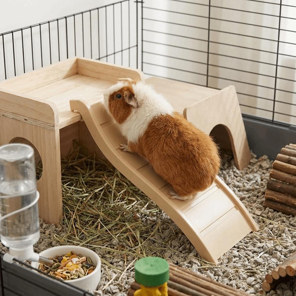Colorful Hamster Climbing Ladder Interactive Wave Shape Hedgehog Ladder Decorative Guinea Puzzle Toy Pet Habitat