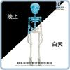 Magnetic Movable Skull Fridge Magnet 3D Skeleton Refrigerator Sticker Luminous Fridge Magnets Fun Halloween Decor Día De Muertos