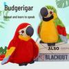 Interactive Talking Parrot Plush Toy - Electric Mimicry Doll with Flapping Wings, Perfect Gift for Kids