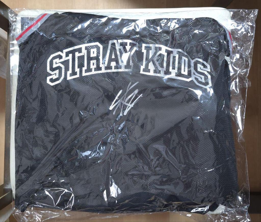 [USED] Stray Kids DominATE Ecopa Upgraded Goods