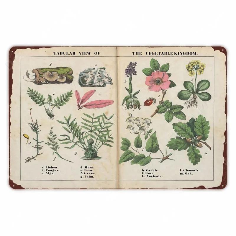 Retro Vegetable Plants Poster Vintage Fruits Metal Tin Sign Cauliflower Wall Art Sign Garden Kitchen Farm Flowers Plate Decor