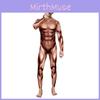 Costum de scenă Euro Fantasy Masculin cu Model Realist de Mușchi Pentru Acte de Teatru
