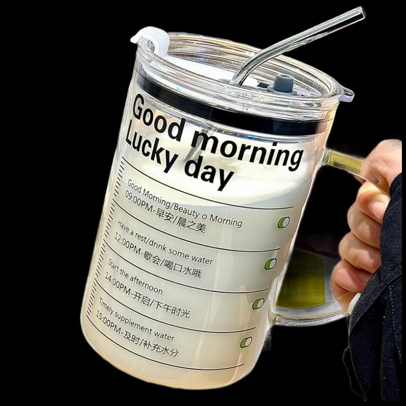 

Shangqi 1000ml Heat-Resistant Glass Water Bottle with Handle