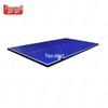 Foldable Standard Ping Pong Table
